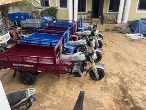 New Tricycle 2024 Blue