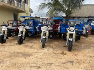 New Tricycle 2024 Blue