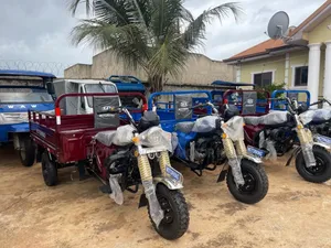 New Tricycle 2024 Blue