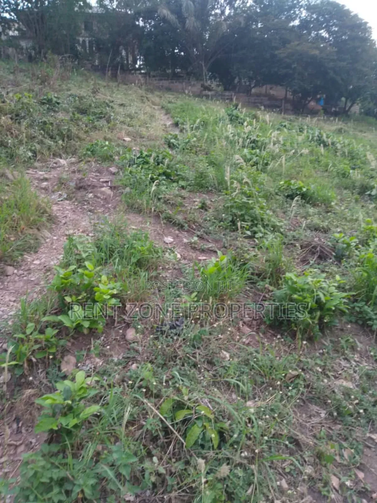Land With Indenture and Site Plan for Sale