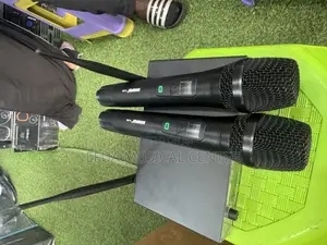 Shure Dual Microphone
