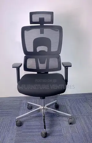 Executive Orthopedic Chair