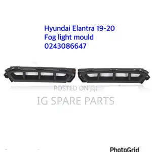 Hyundai Elantra 2019-2020 Fog Light Mould