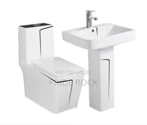 Water Closet With Basin And Mixture Tap(White And Black)