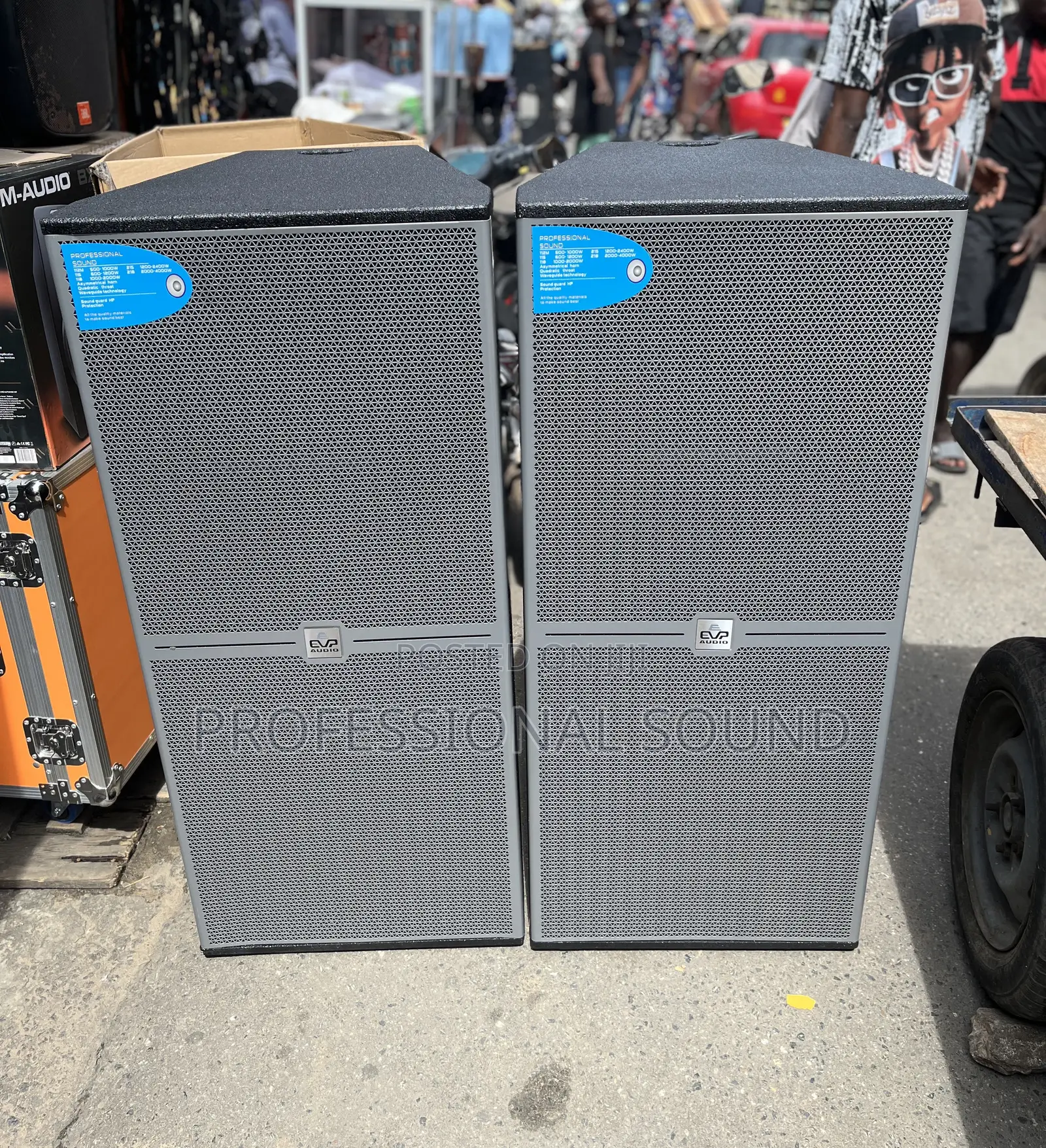 Plywood Evp Fullrange Speaker