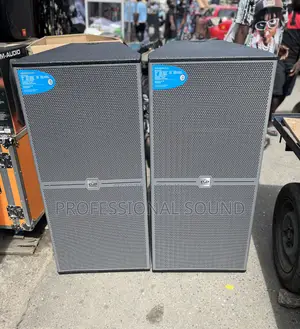 Plywood Evp Fullrange Speaker