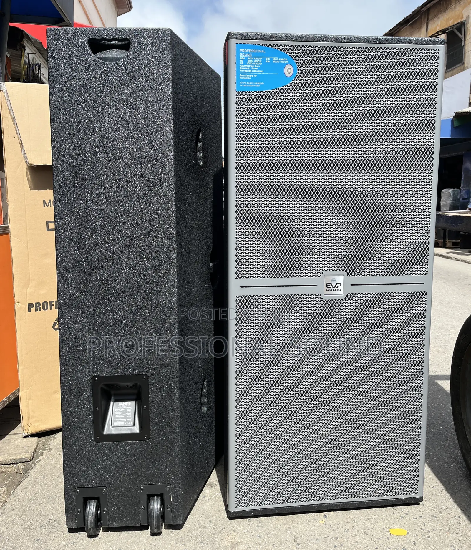 Plywood Evp Fullrange Speaker