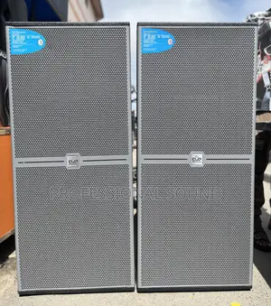 Plywood Evp Fullrange Speaker