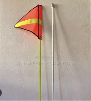 10 Metres Reflective Buggy Whip