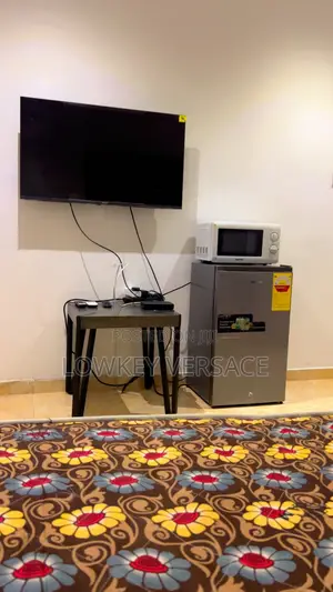 Super Comfy Studio + Starlink Wifi + Generator+ Self Catering+ DSTV