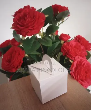 Cake Boxes