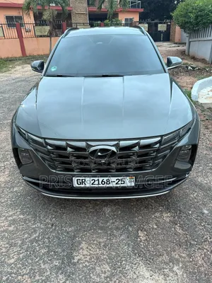 Hyundai Tucson 2023 Gray
