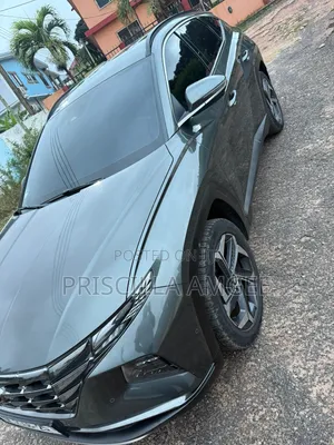 Hyundai Tucson 2023 Gray