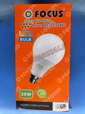 Focus 30w Led Bulb (B22)