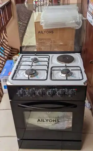 Electric Plus Gas Stove Oven