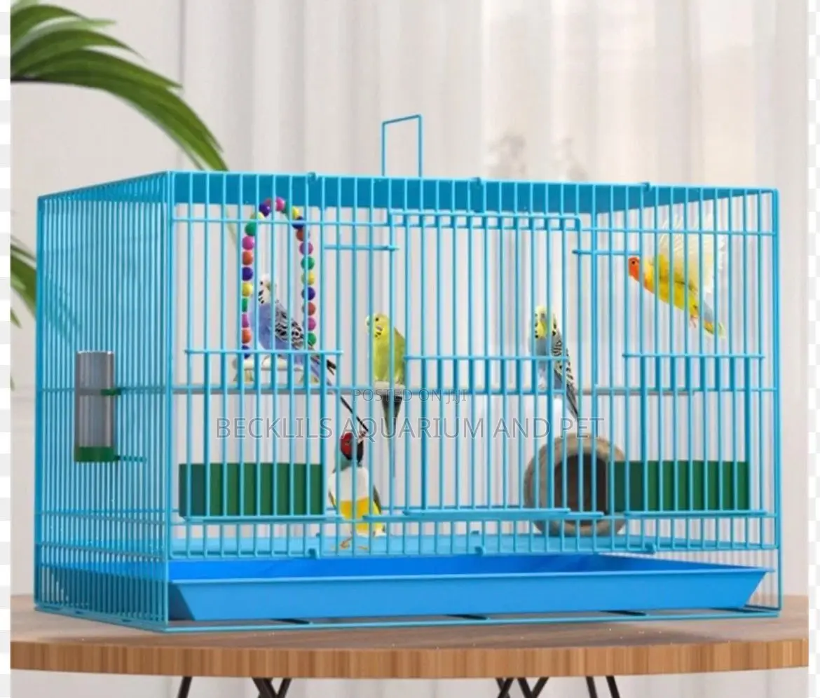 Large N Big Cages for Parrot
