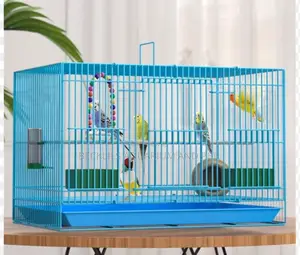Large N Big Cages for Parrot