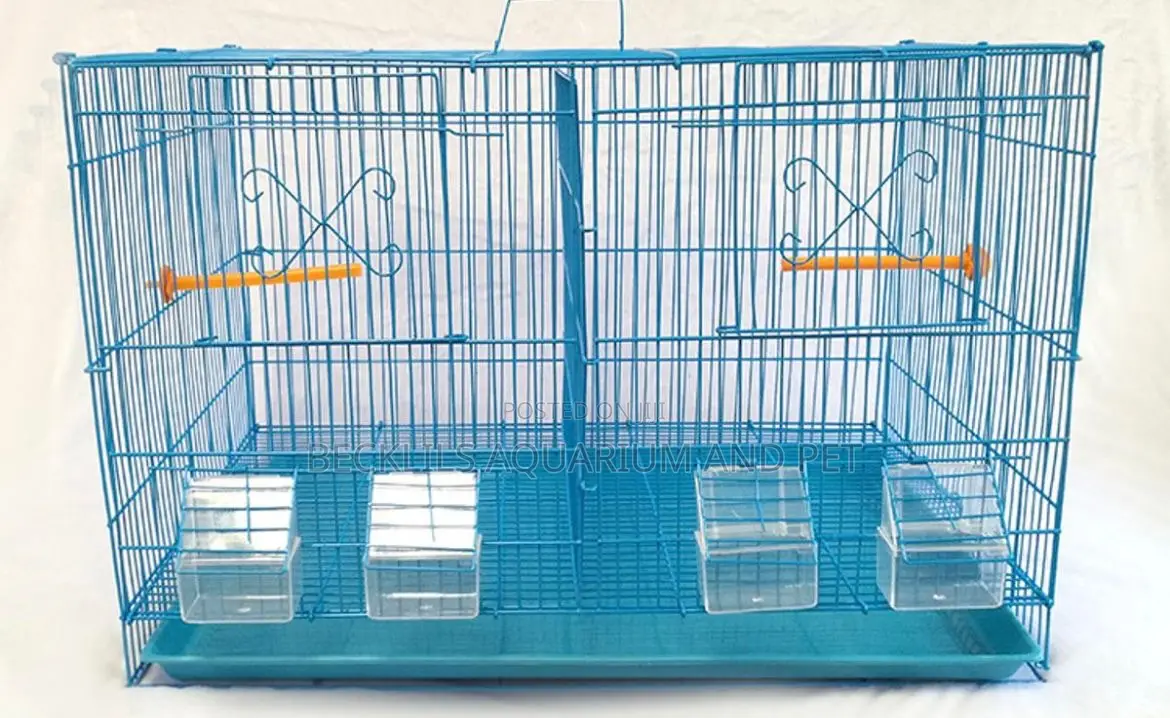 Large N Big Cages for Parrot