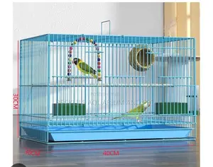 Large N Big Cages for Parrot