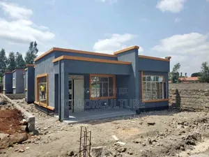 House Painting