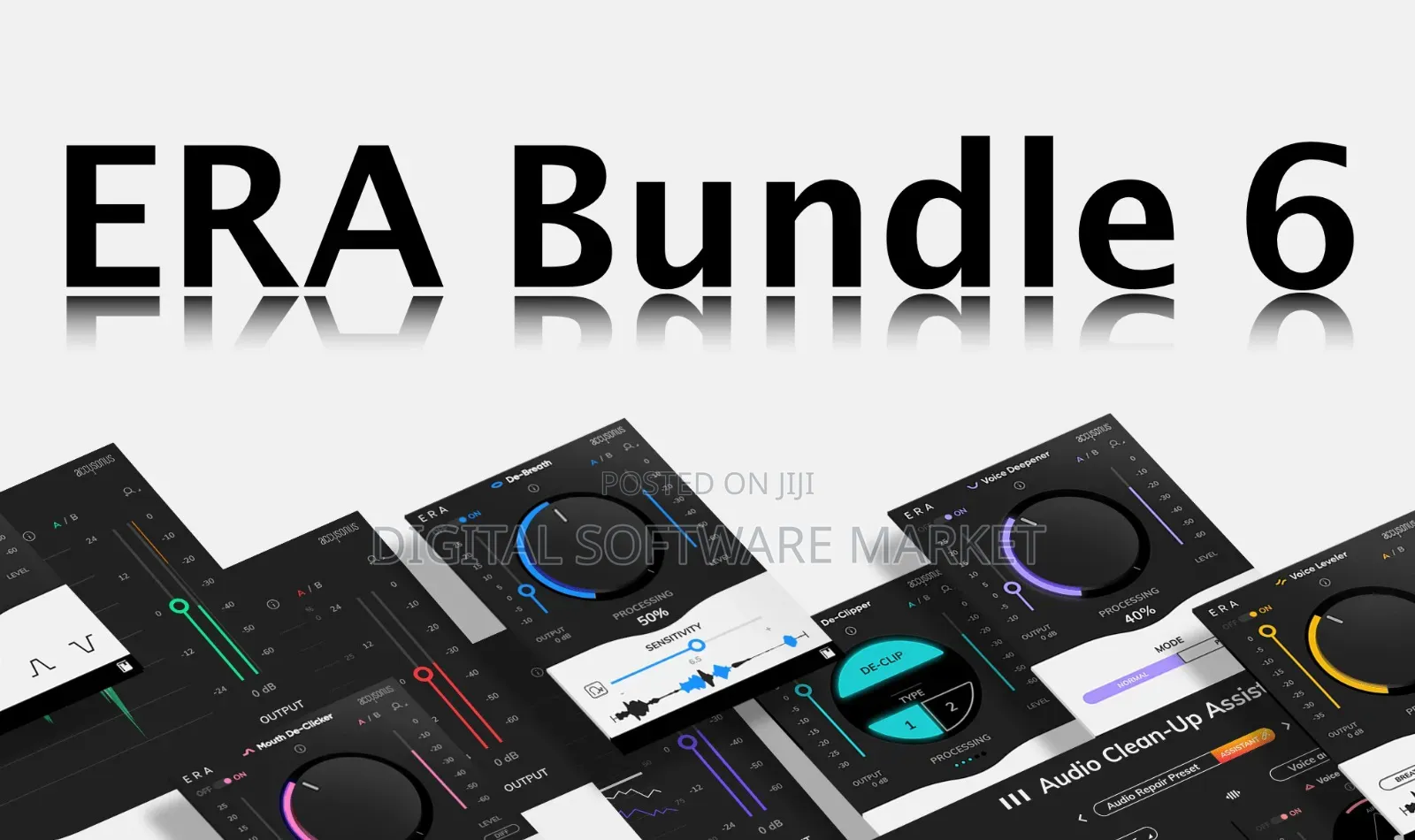 Accusonus Era Bundle Pro 6 Full Version
