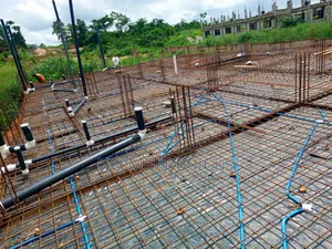 Estate Developer