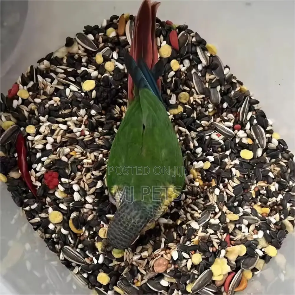 Parrot Feed/Seeds for Adult Birds 2.5kg