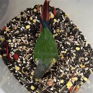 Parrot Feed/Seeds for Adult Birds 2.5kg