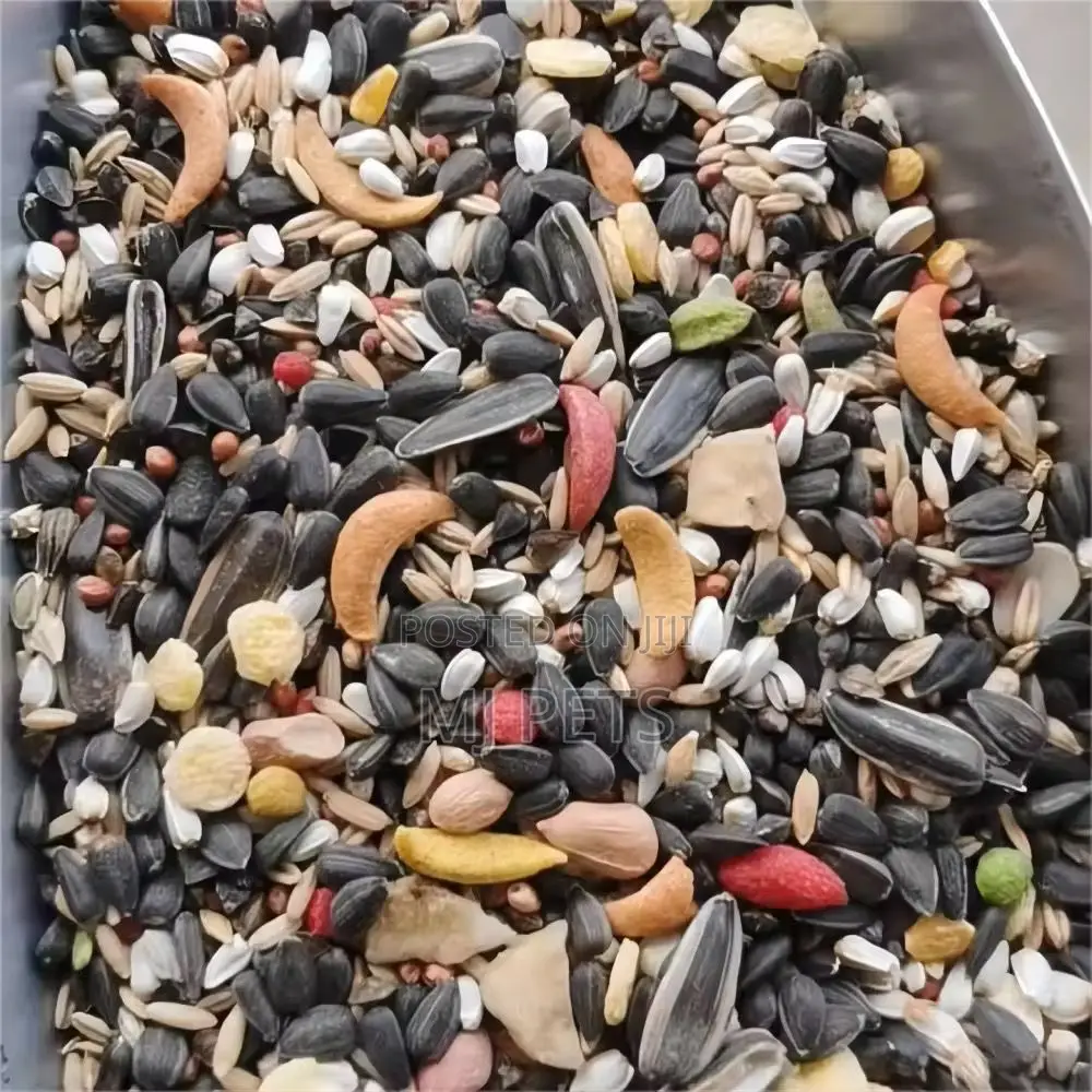 Parrot Feed/Seeds for Adult Birds 2.5kg