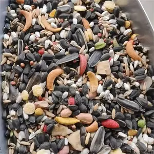Parrot Feed/Seeds for Adult Birds 2.5kg