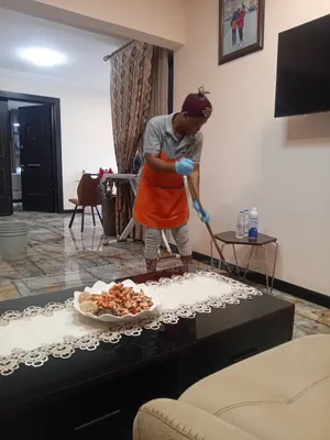 Deep Cleaning Services;'."