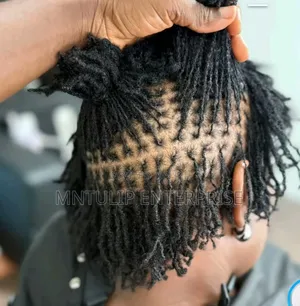 Sister Lock Extension