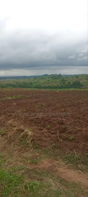 Winneba Nsuakyiri Beach Land for Sale by Alpha Estate Company LTD