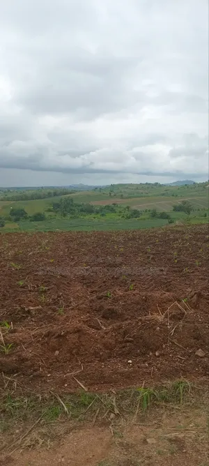 Winneba Nsuakyiri Beach Land for Sale by Alpha Estate Company LTD