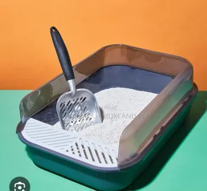 Cat Litter Box