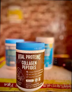 Vital Proteins Collagen Peptide (Chocolate Flavour)