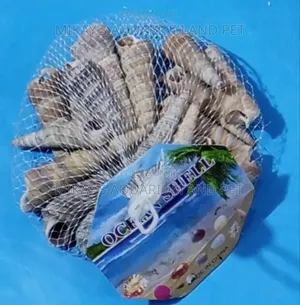 Shells For Aquarium