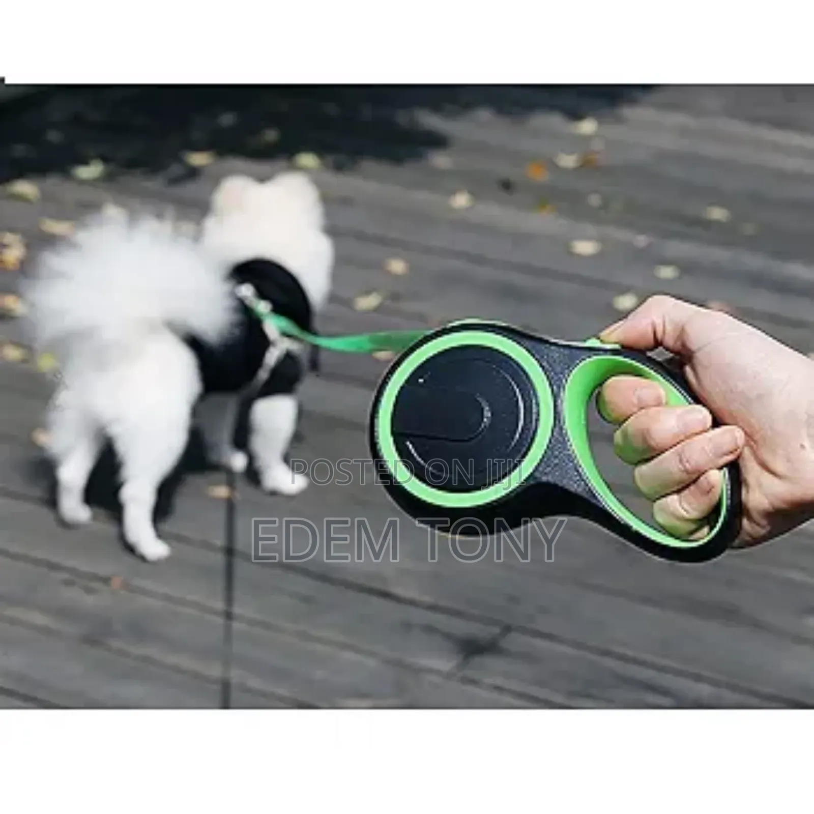 Retractable Dog Leash.