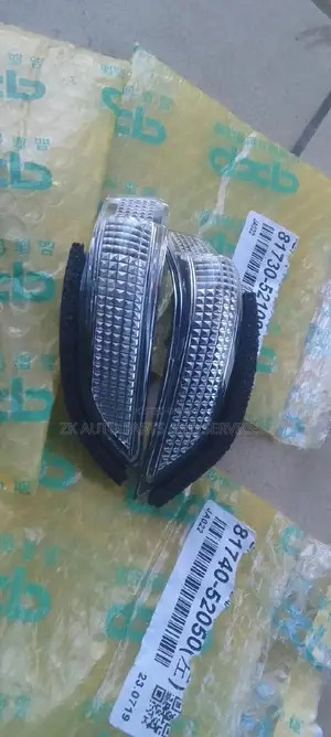 Mirror Indicator Light