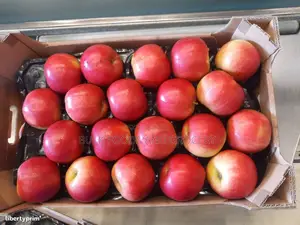 Apple(Medium -Tray) 27 PCS