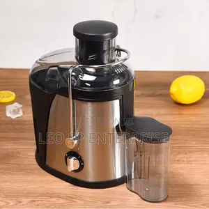 Fruit Juicer for Sale