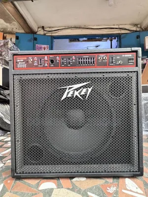 Speaker Bass Combo