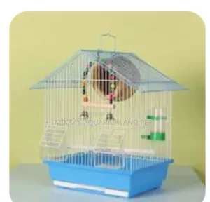 Cute Bird Cages