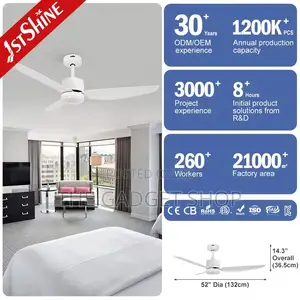 Ceiling Fan With Light Modern Design
