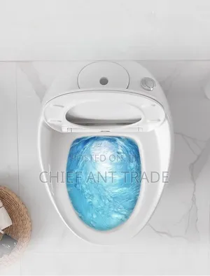 Egg Wc Toilet Seat Water Closet 301
