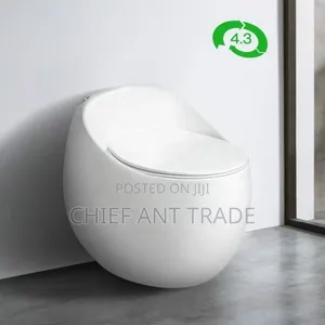Egg Wc Toilet Seat Water Closet 301