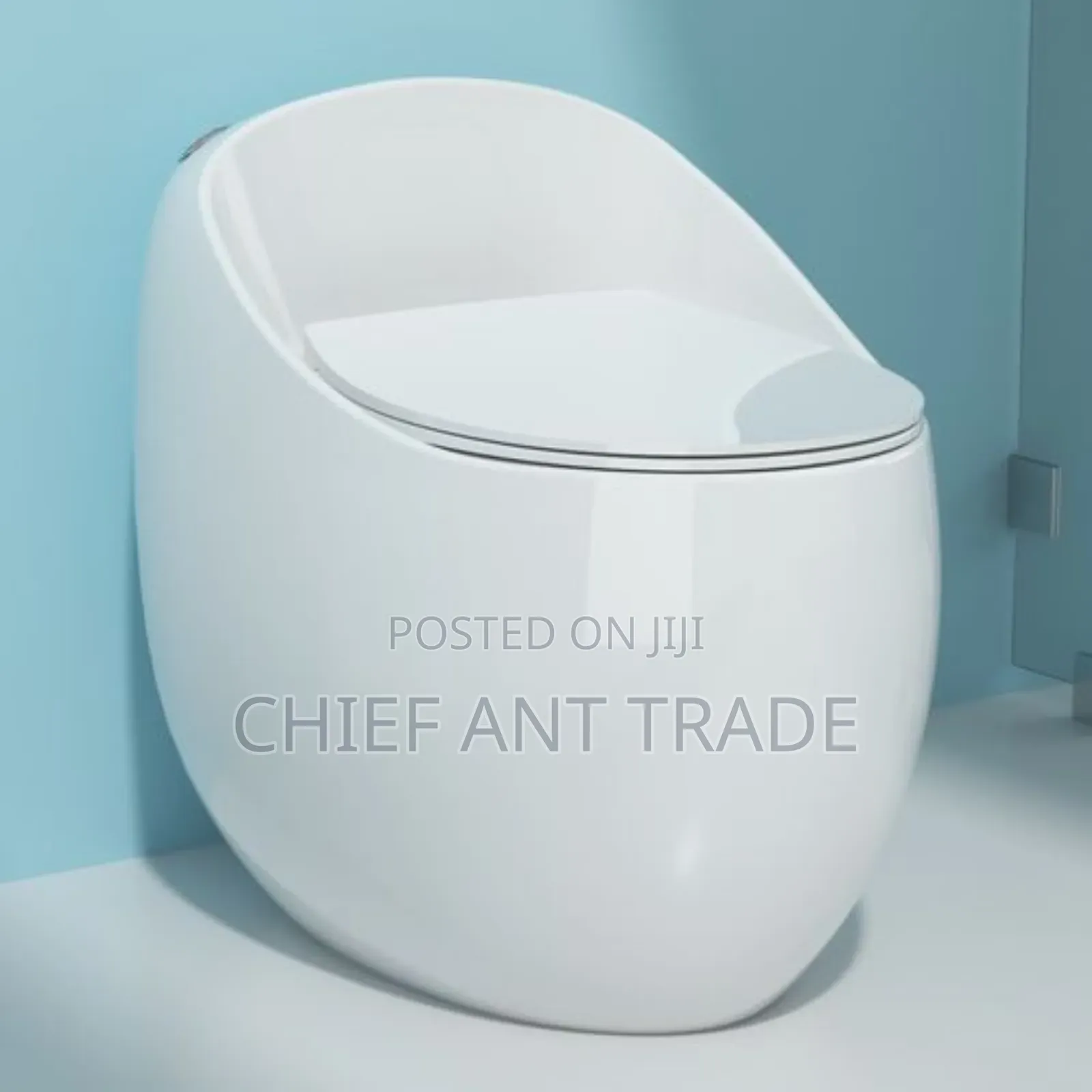 Egg Wc Toilet Seat Water Closet 301