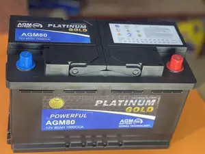 Platinum Gold Battery Agm80 80ah