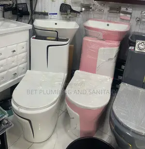 Imported Water Closet(Both Available)_master Bedroom Wc and Wash Basin