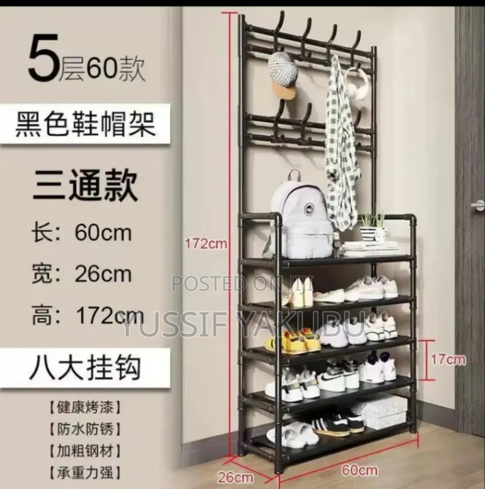 Shoe Rack and Wardrobe